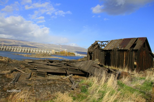 Dalles Dam SwittersB