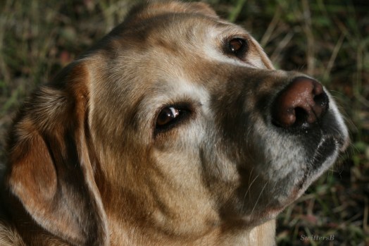 emma looking at me SwittersB