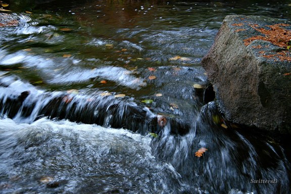 feathery water SwittersB 1