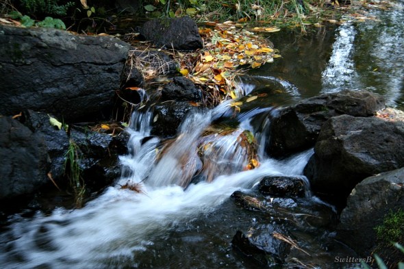 feathery water swittersb 3