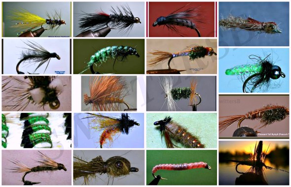 fly collage SWITTERSB