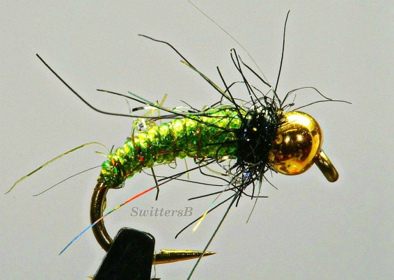 green bead head pupa SB