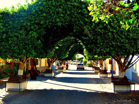 loreto street swittersb