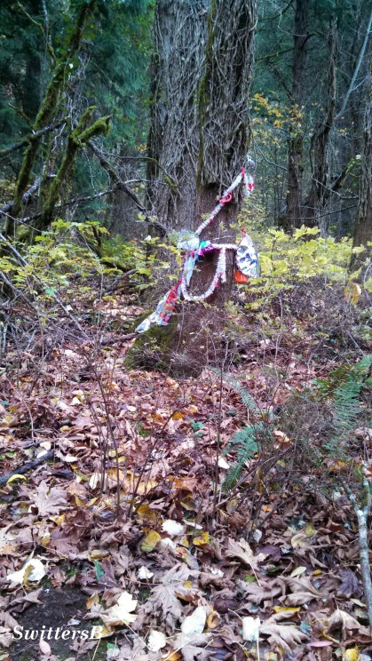 marker in the woods SB