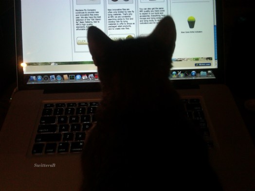 May I Help You? Penny SwittersB