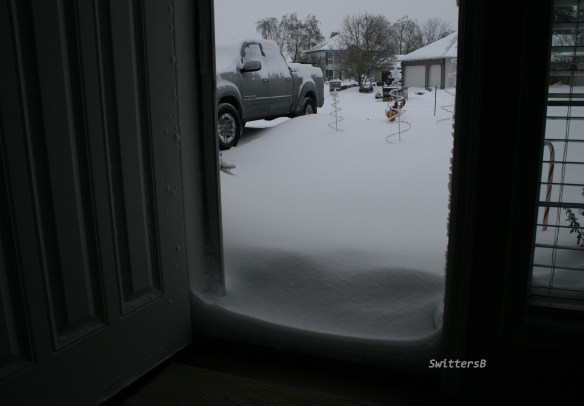 Morning Snow SwittersB