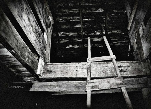 old ladder bar  swittersb