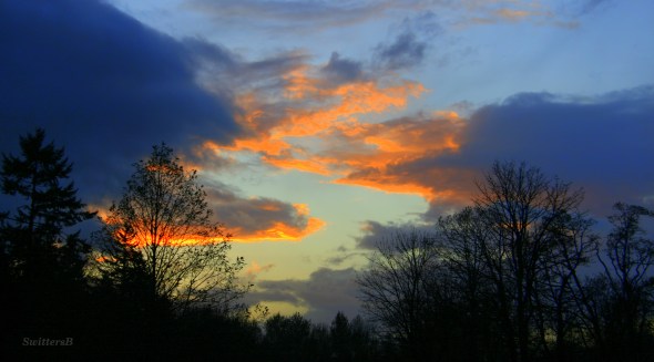 Parting Way swittersb