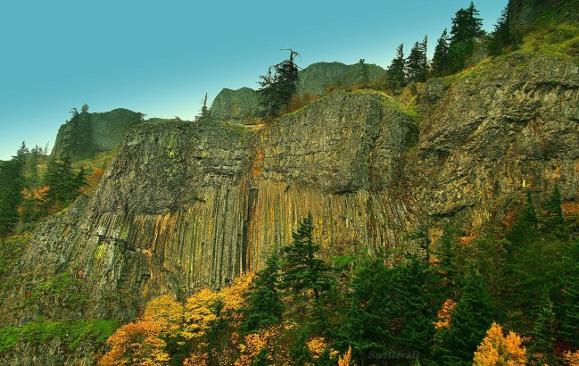 Rock Face Columnar SwittersB