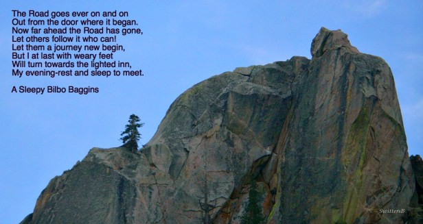 Rock Wall Single Tree