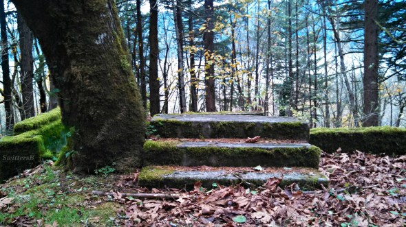 Stairway to SwittersB