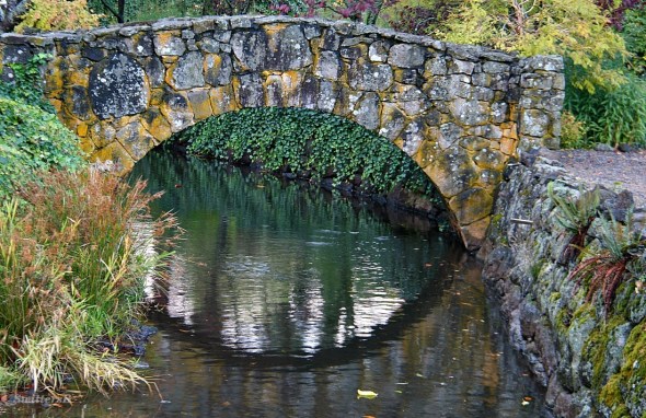 stone bridge brook SwittersB