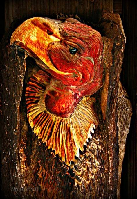 vulture Holmaren SwittersB