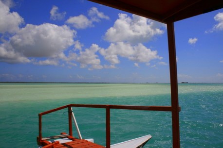 Boat Flat C.I SwittersB