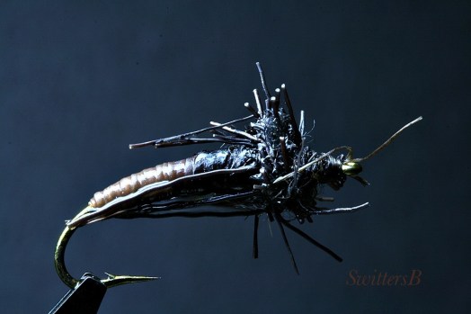 Caddis Pupa SwittersB