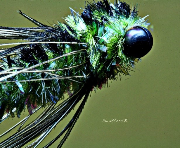 dragon eyes light SwittersB