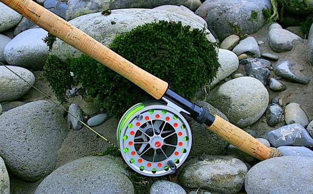 Echo Lamson Rocks Moss SwittersB