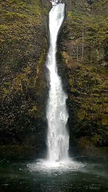 Falls Nokia ™ SwittersB