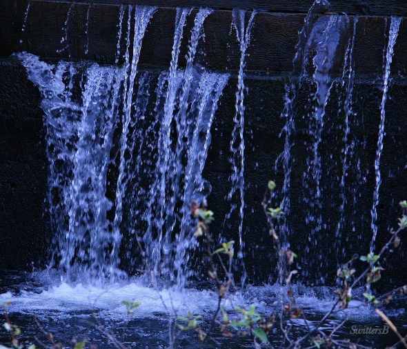 Holding Back SwittersB