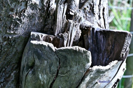 Home needs Roof SwittersB