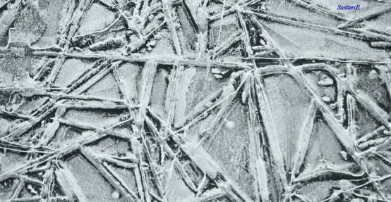 Ice Designs River's Edge SwittersB