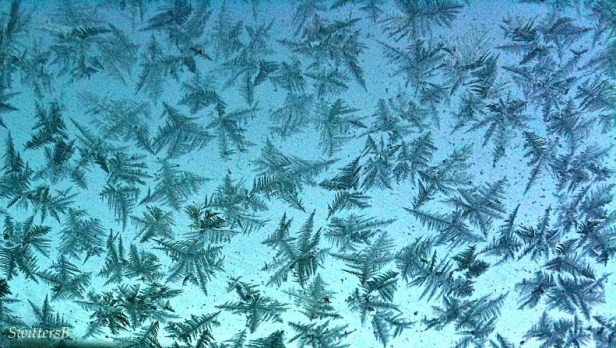 Morning Ice Window SwittersB