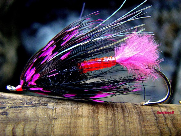 Pink Panther JH SwittersB