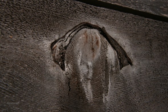 Plank Knot SwittersB