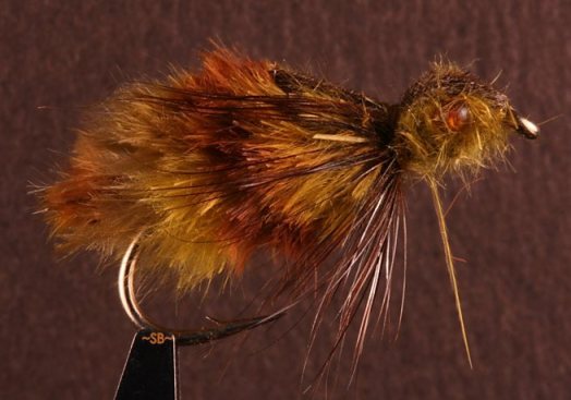 stout-dragon-fly-nymph-swittersb