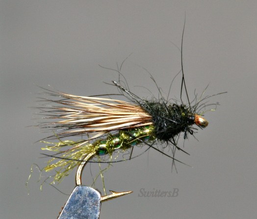 X Caddis Switters