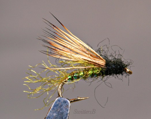 X caddis SwittersB