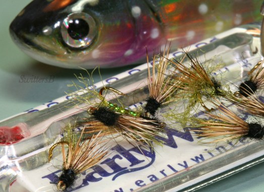 X Caddis Trout Early W SwittersB