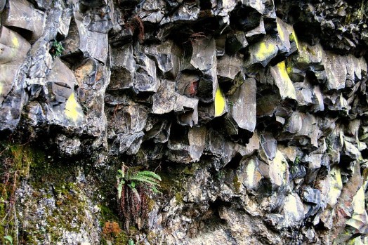 Basalt and Lichen SwittersB