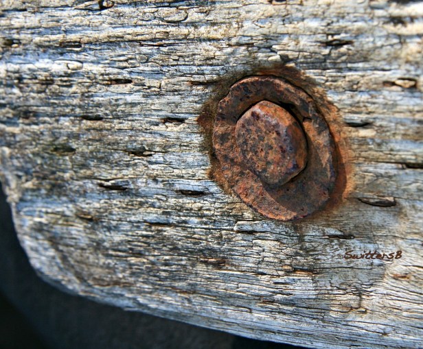 board & bolt washer SB