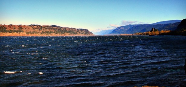 Into the Wind SwittersB