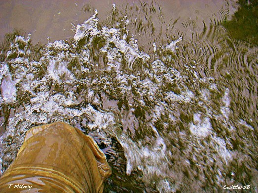 Pushing Forward ™ SwittersB