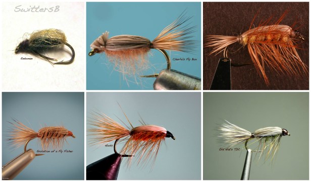TDC Caddis Col SwittersB
