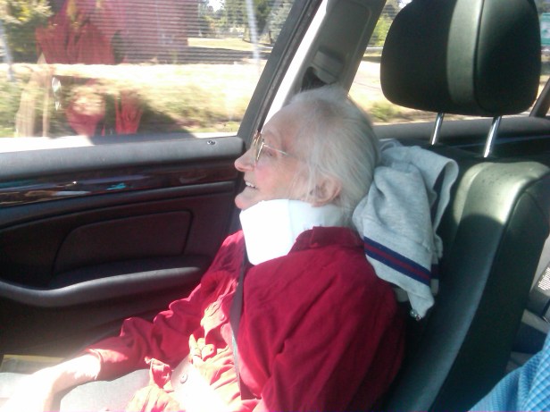 Tillie peeking over dash