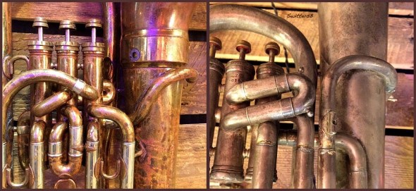 Tooting Own Horn SwittersB