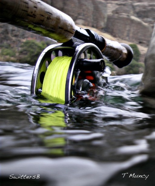 Water Wheel ™ SwittersB