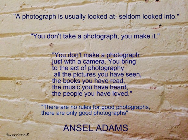 -Ansel Adams Quotes White Brick Wall SB-