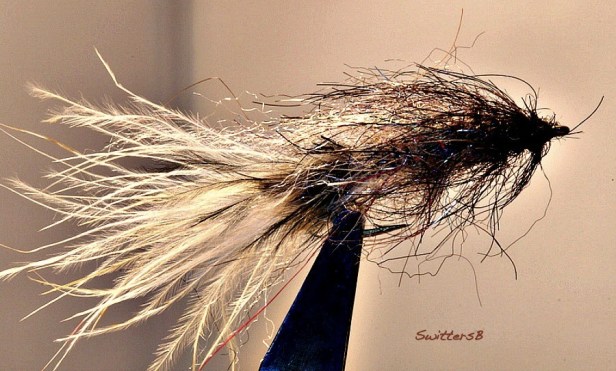 brushed leech SwittersB