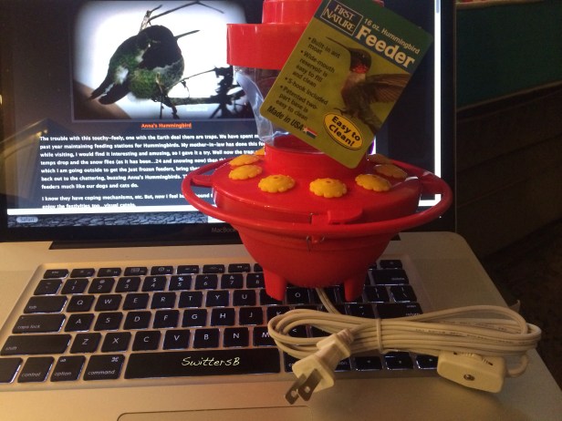 Hummingbird Feeder-Heated-SwittersB-Birds-Feeding-Winter