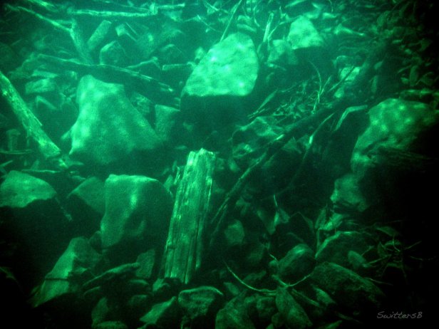 Lake Bottom SwittersB