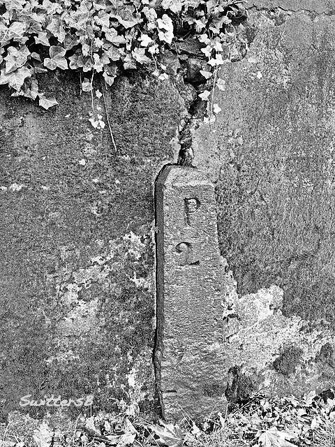 Marker 2 LFC SwittersB