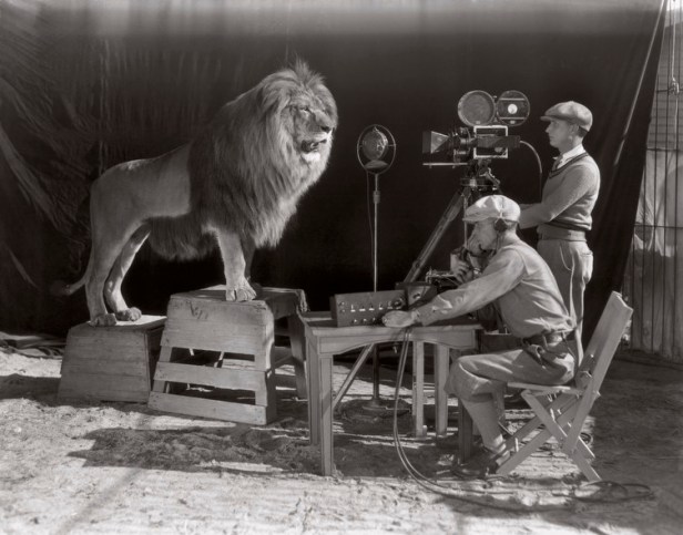 MGM lion