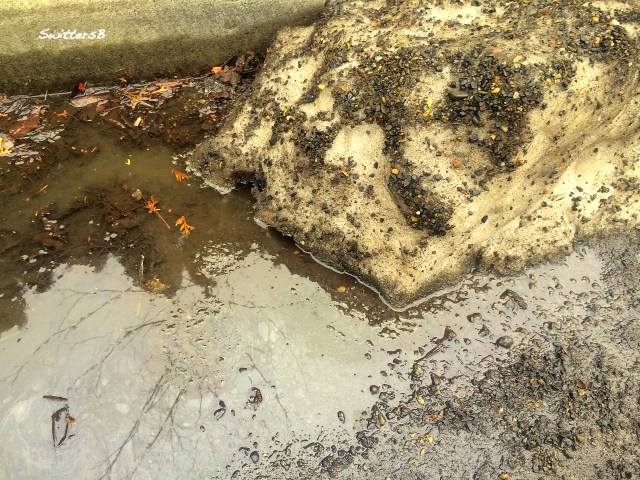 old snow gravel SwittersB photography