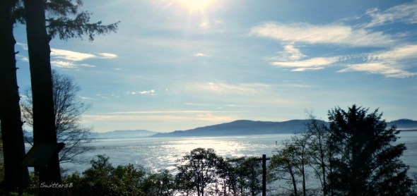 Tillamook BaySwittersB