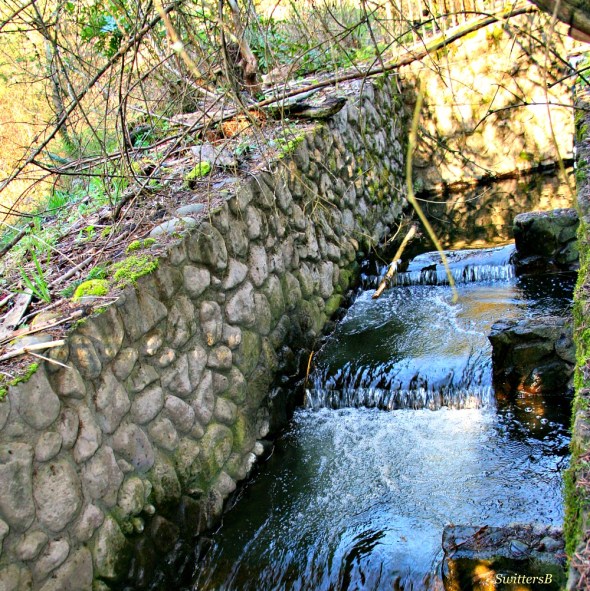 photography-fish ladder-fish-habitat-SwittersB