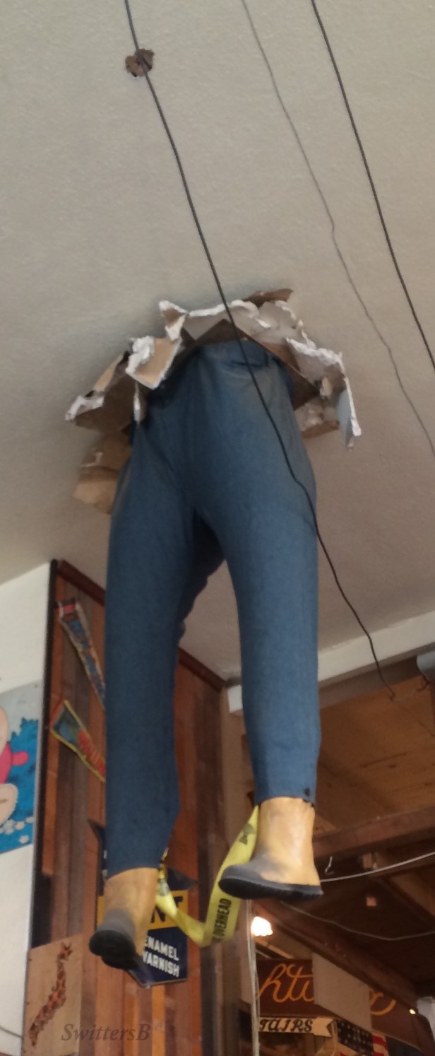 photography-hippo hardware-portland-humor-swittersb